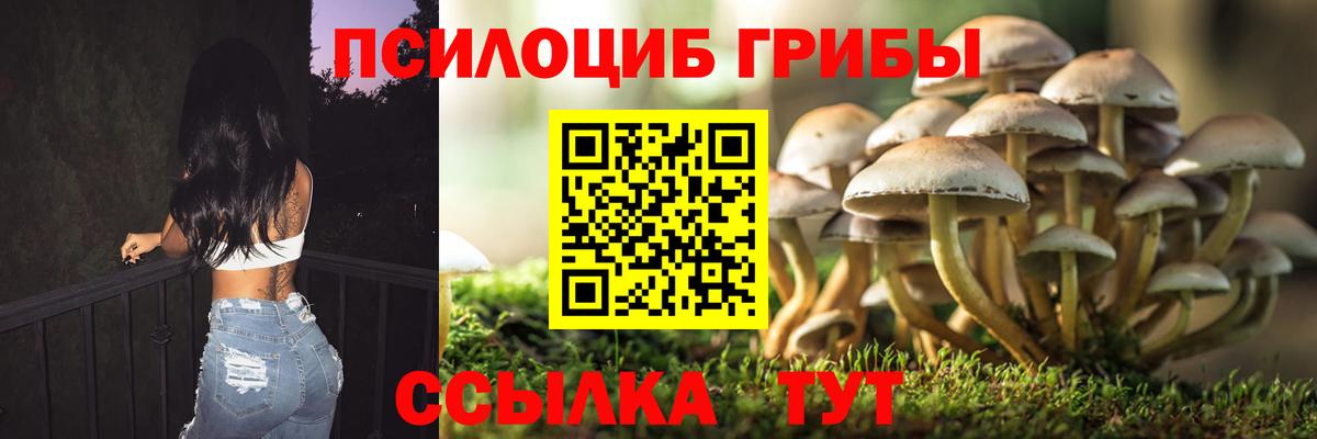 Псилоцибиновые грибы Magic Shrooms Котовск